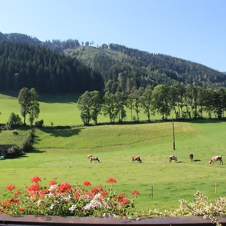 Blonbauer Vila Schladming Exterior foto