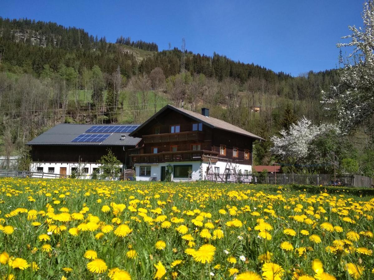 Blonbauer Vila Schladming Exterior foto