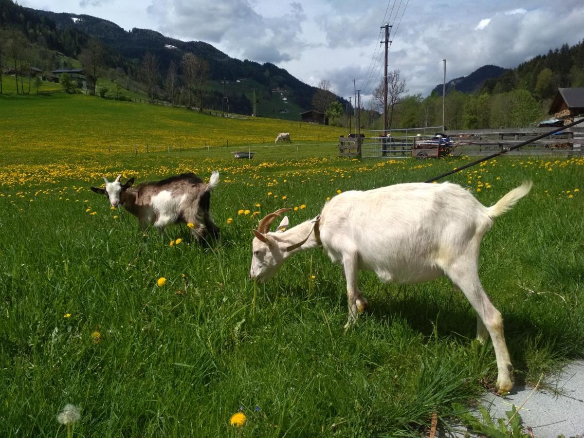 Blonbauer Vila Schladming Exterior foto