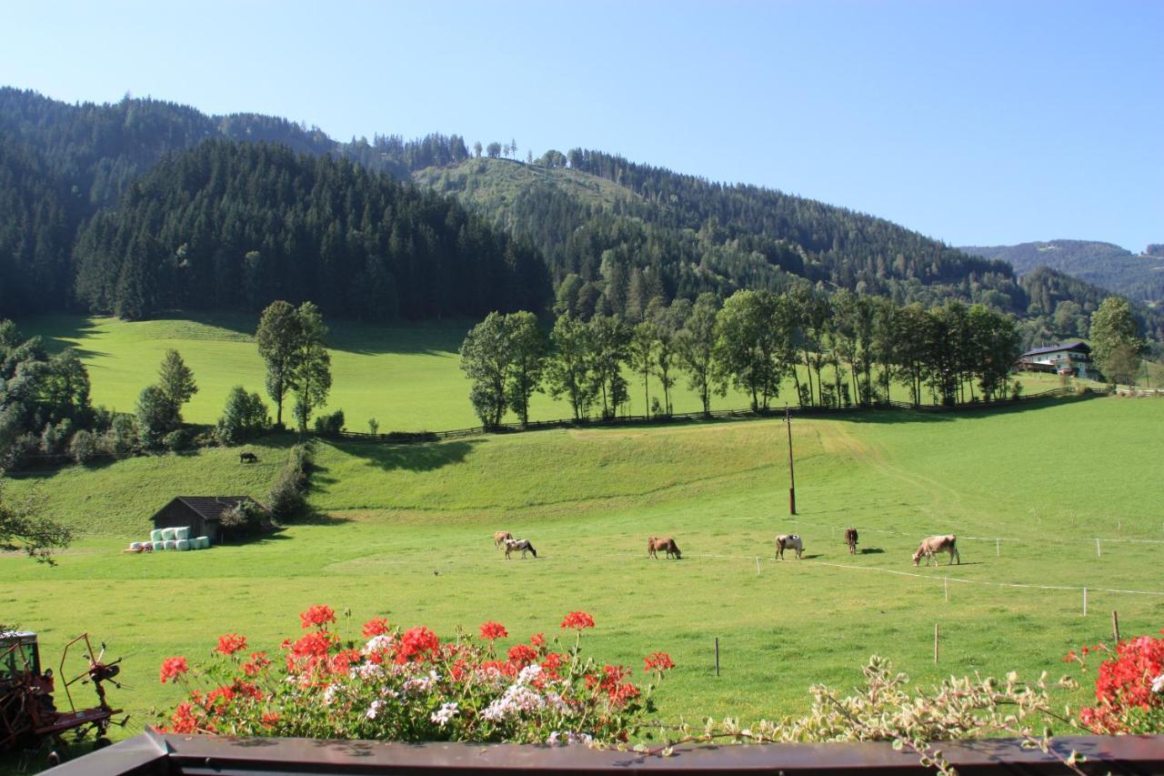 Blonbauer Vila Schladming Exterior foto